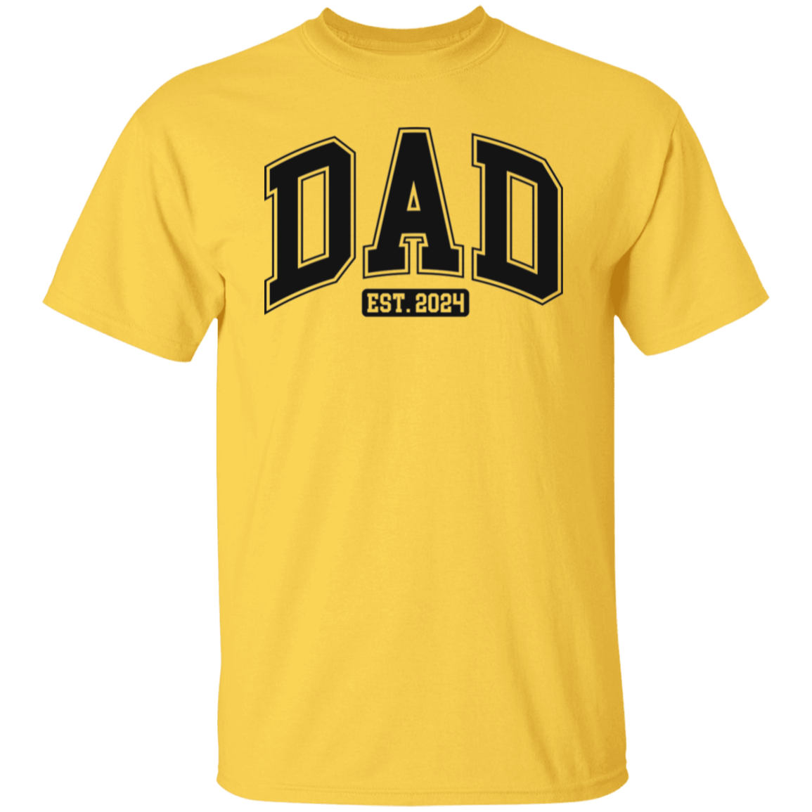 Dad 2024 New Dad T-Shirt