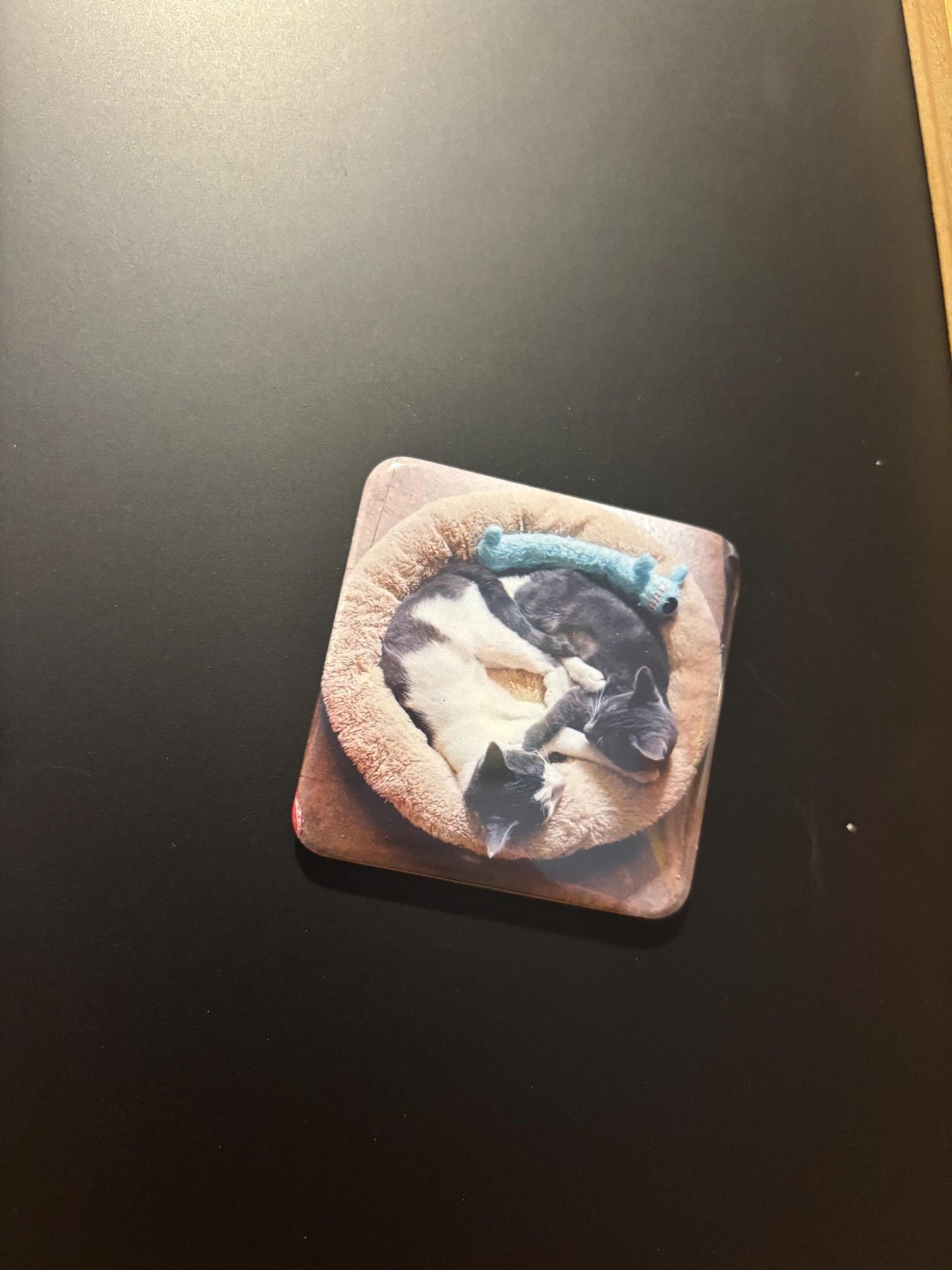 Personalized Photo Magnets, Custom Fridge Magnets, Grandma Gift