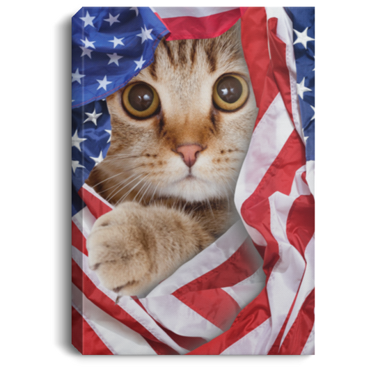 American Flag Kitten Canvas .75in Frame