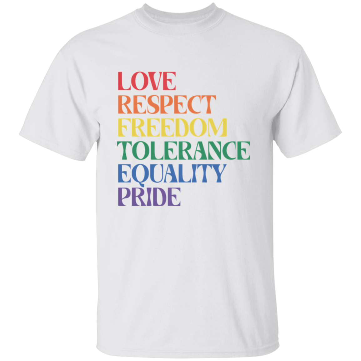 Love Respect Tolerance LGBTQ  T-Shirt