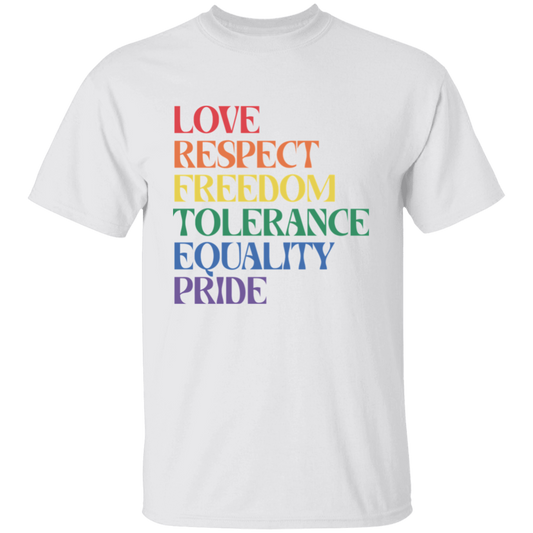 Love Respect Tolerance LGBTQ  T-Shirt