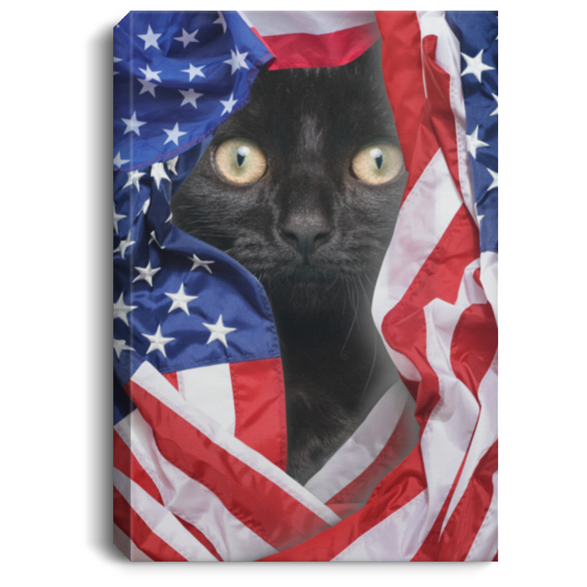 American Flag Black Cat Canvas .75in Frame