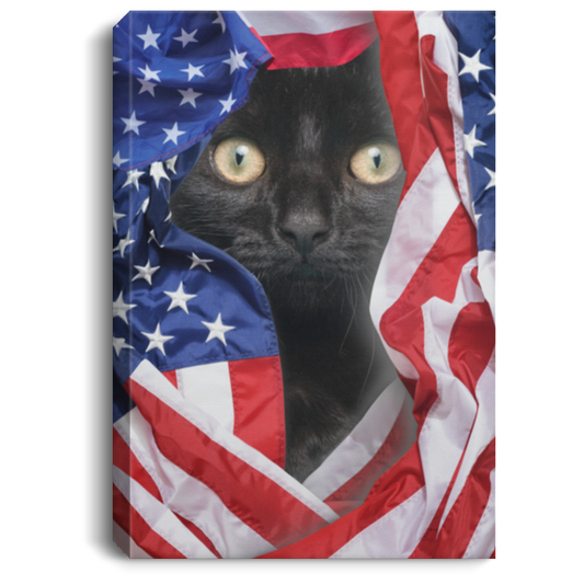 American Flag Black Cat Canvas .75in Frame