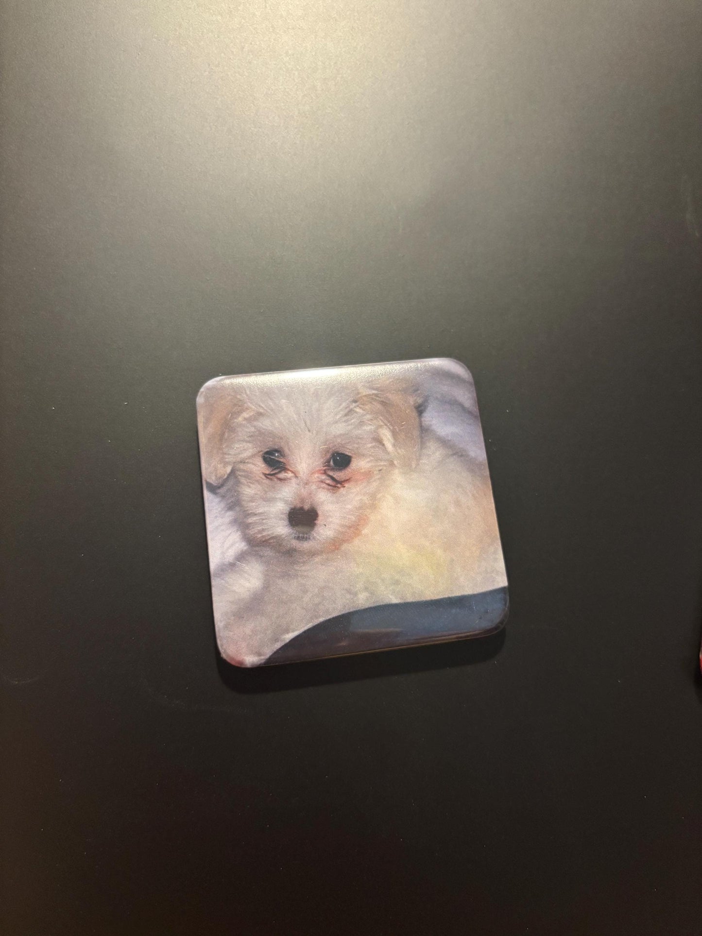 Personalized Photo Magnets, Custom Fridge Magnets, Grandma Gift