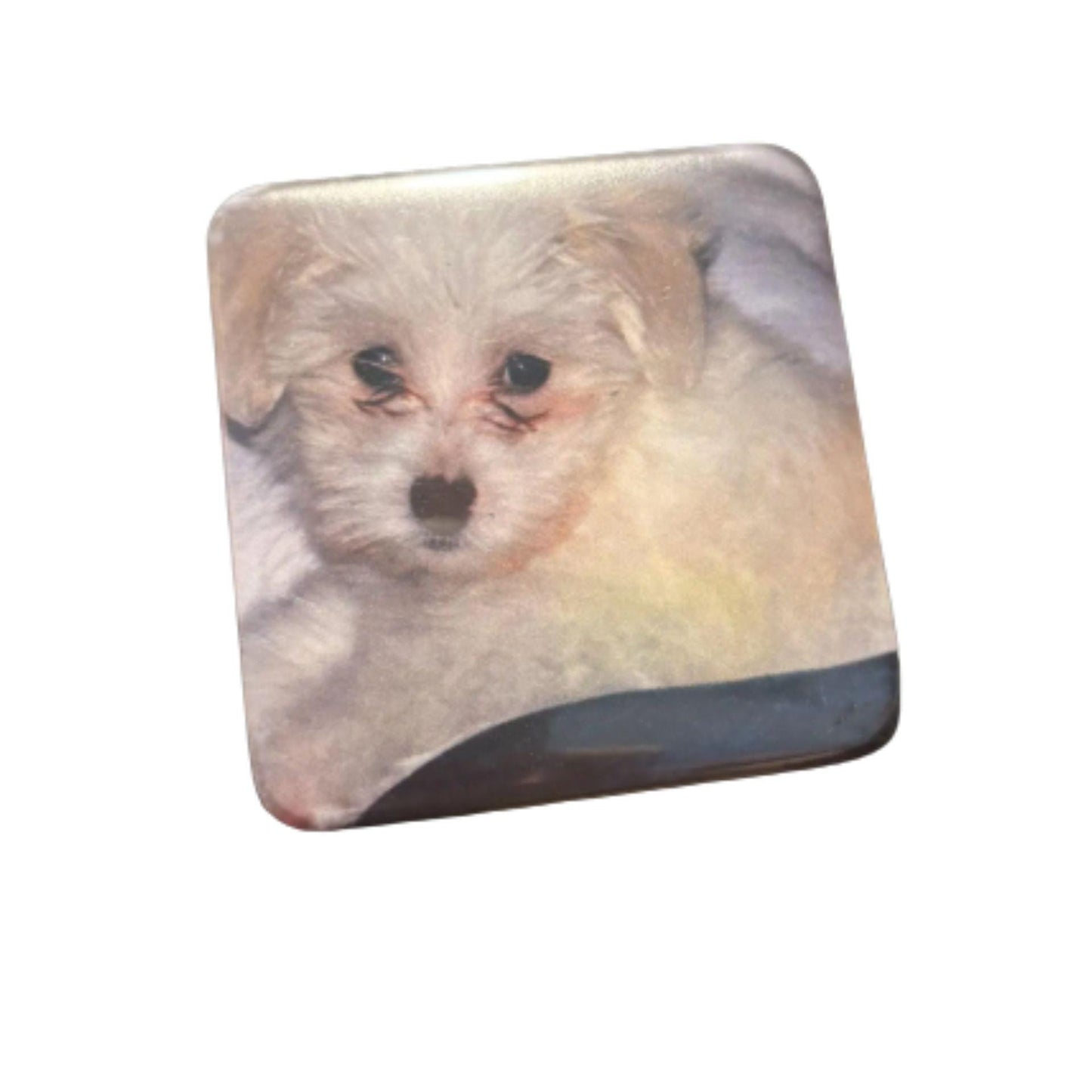 Personalized Photo Magnets, Custom Fridge Magnets, Grandma Gift