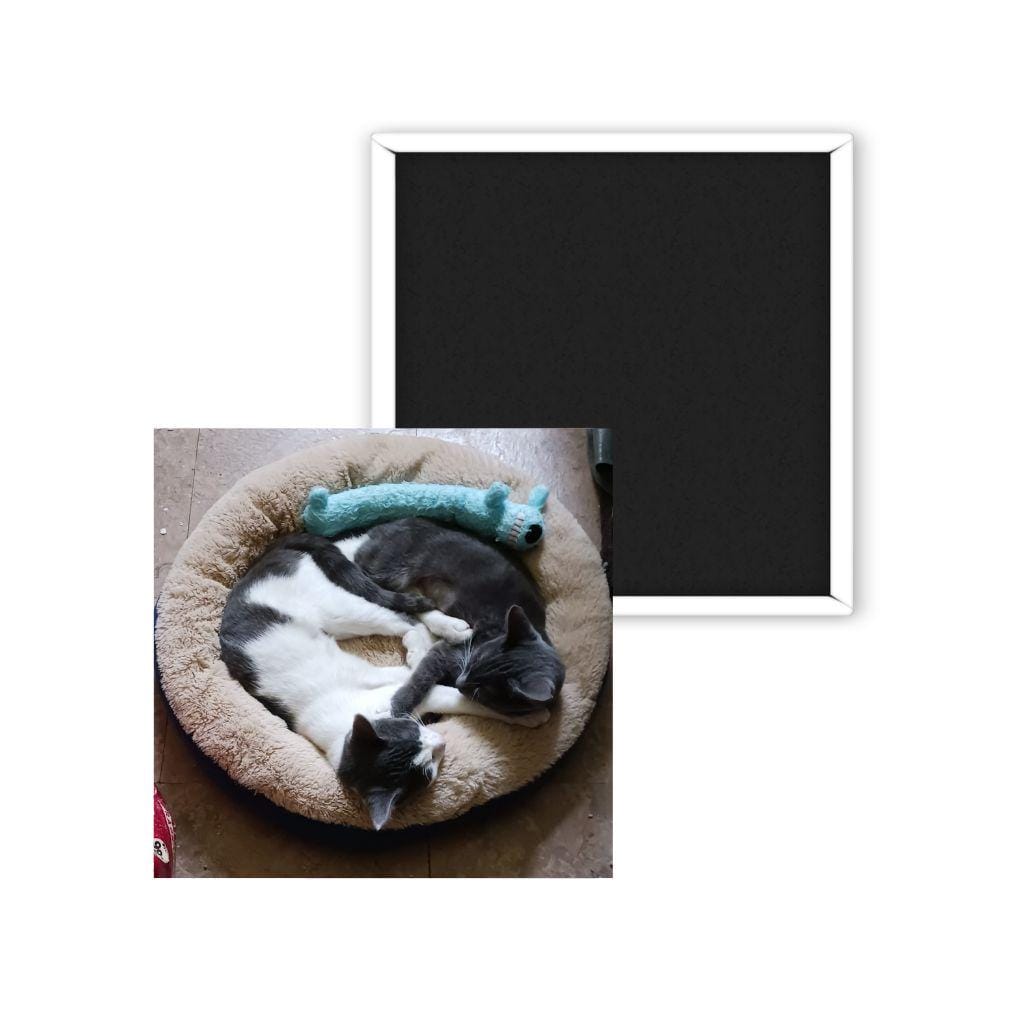 Custom Photo Magnet: Personalized Square Keepsake