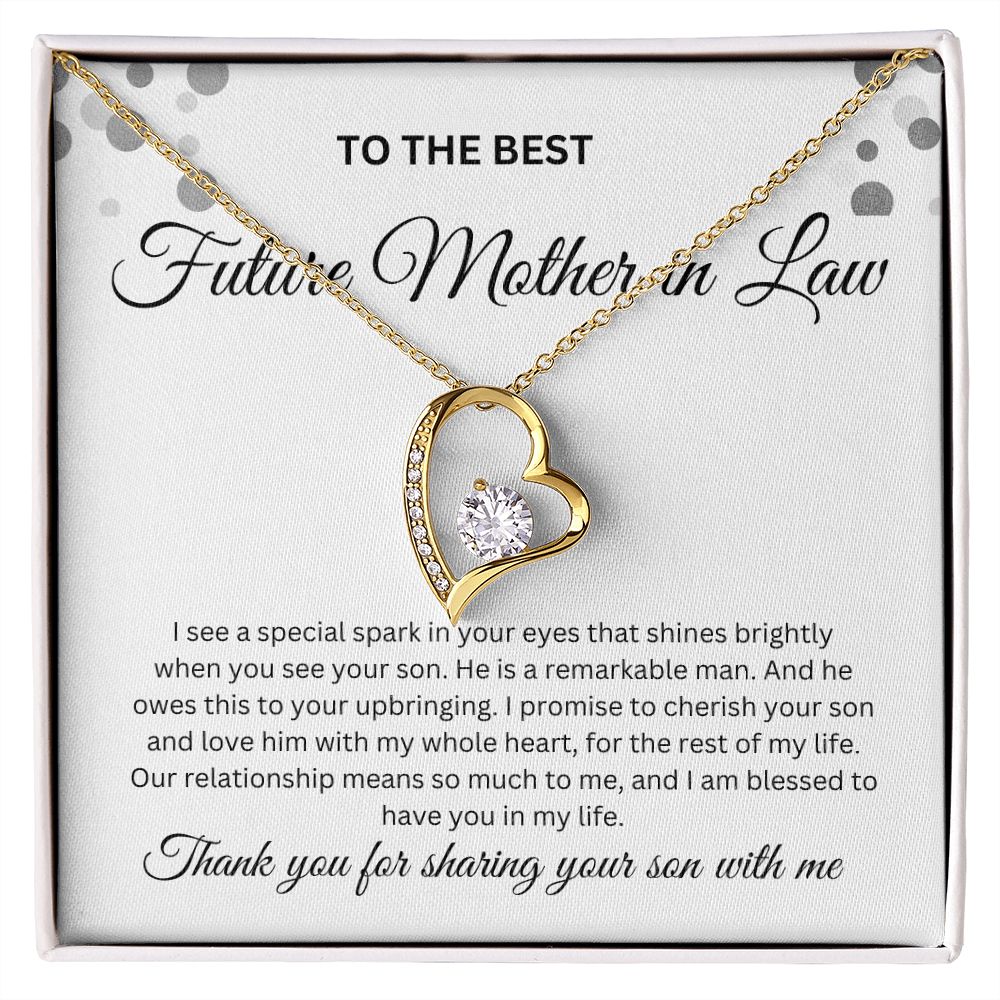 To The Best Future Mother In Law Thank you For Sharing Your Son Necklace