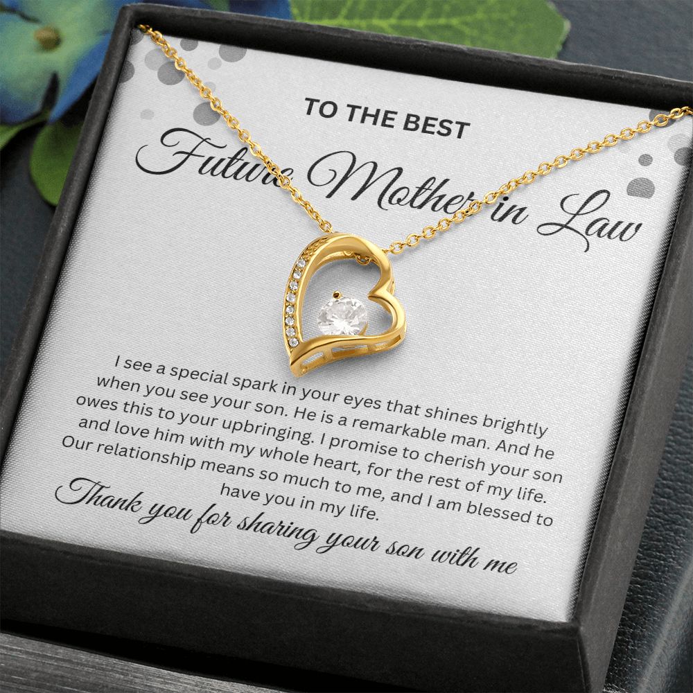 To The Best Future Mother In Law Thank you For Sharing Your Son Necklace